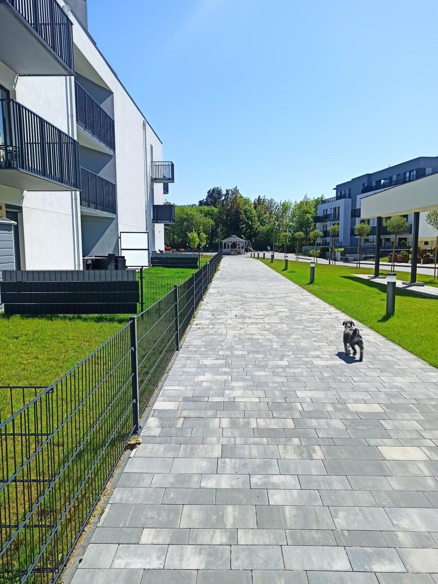 Komfort Alexa Jastrzębia Góra Extérieur photo